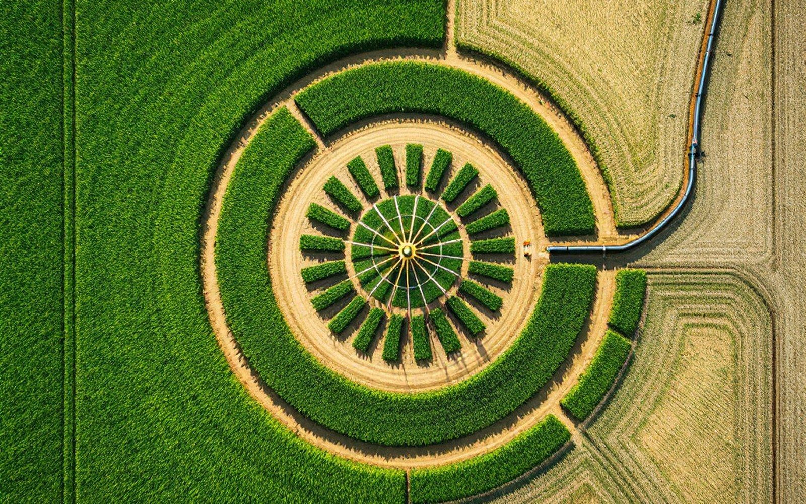 A centre-pivot irrigation circle of green crop on otherwise dry pale ground, seen from high above
