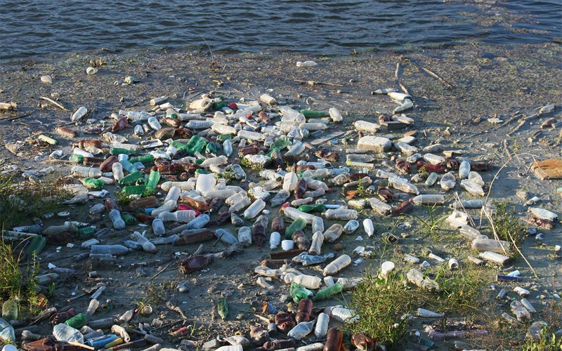 Top Water Pollutants