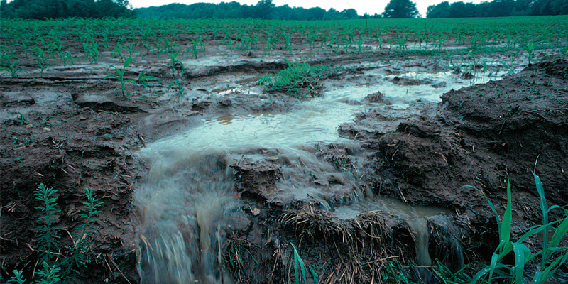 agriculture industries
