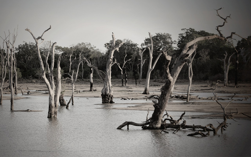 increasing flood